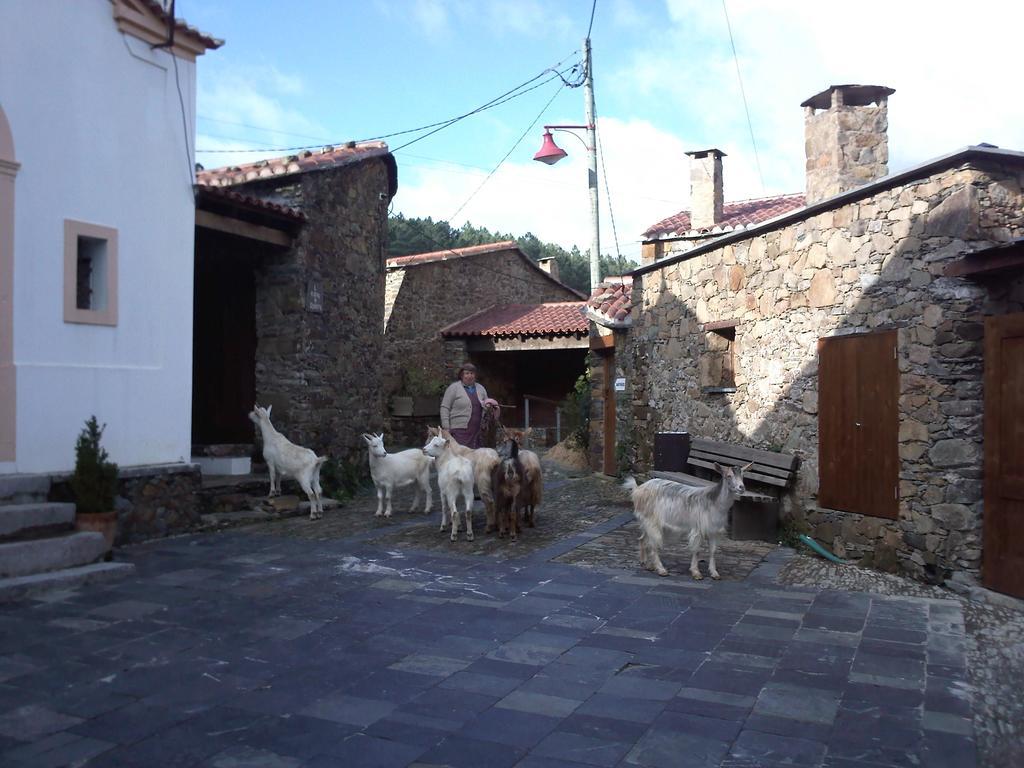 Вилла Casinha Do Mexico Gondramaz Экстерьер фото